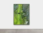 Riverbank by Guan Xiao – installation view