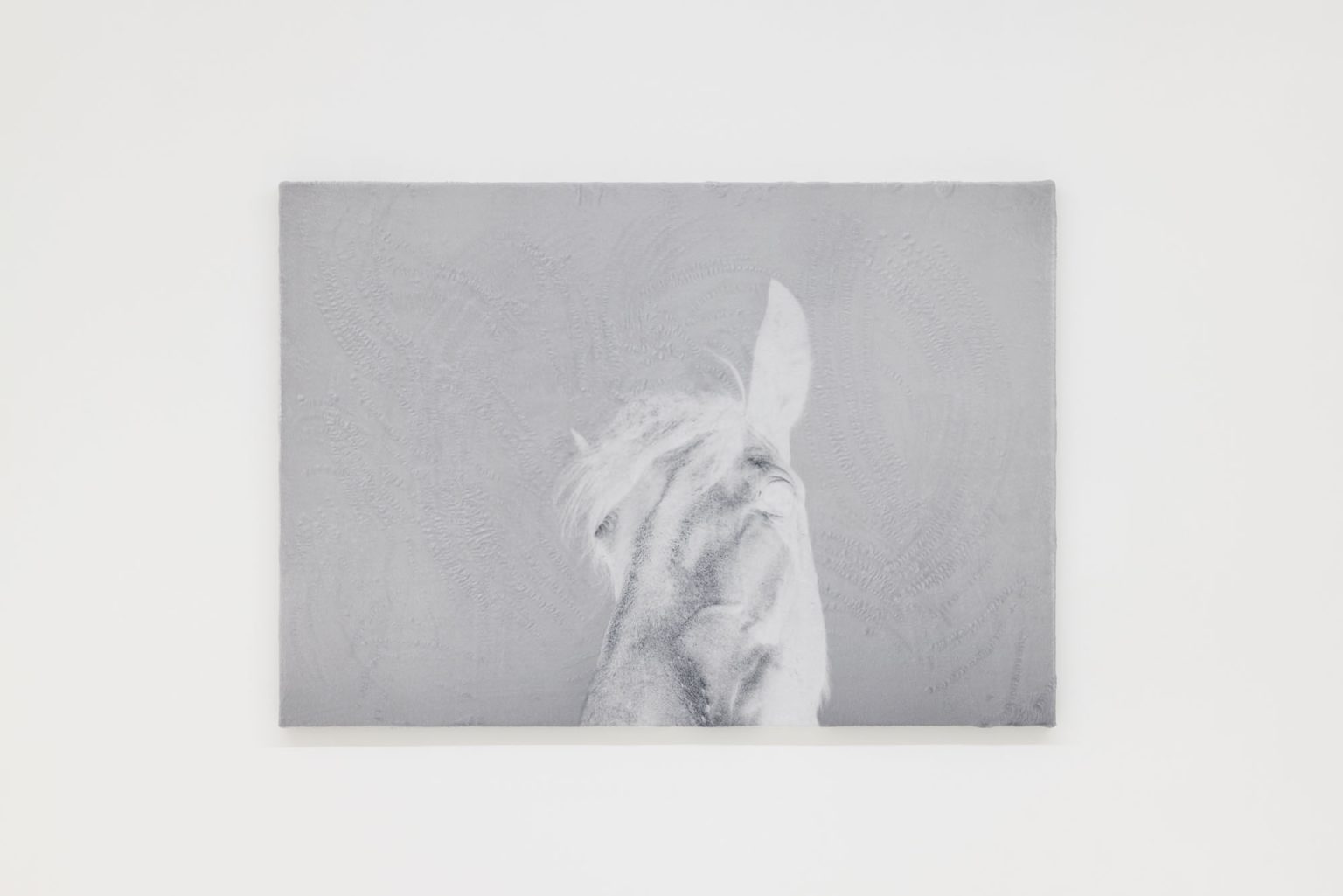 Like velvety scars by Luca Campestri – installation view