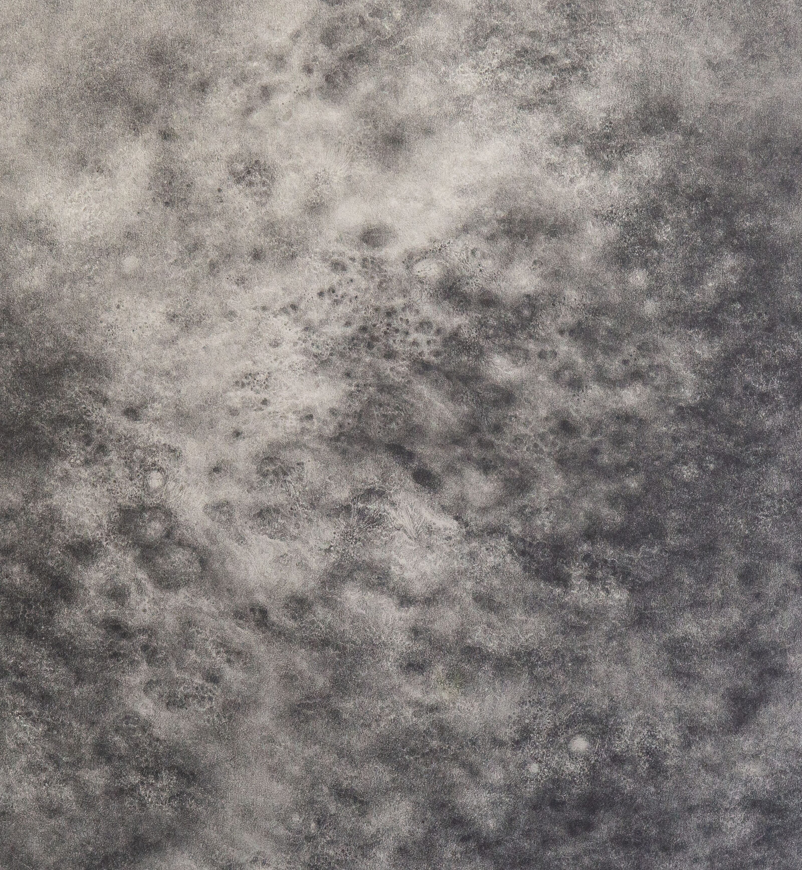 Untitled by Esteban Igartua