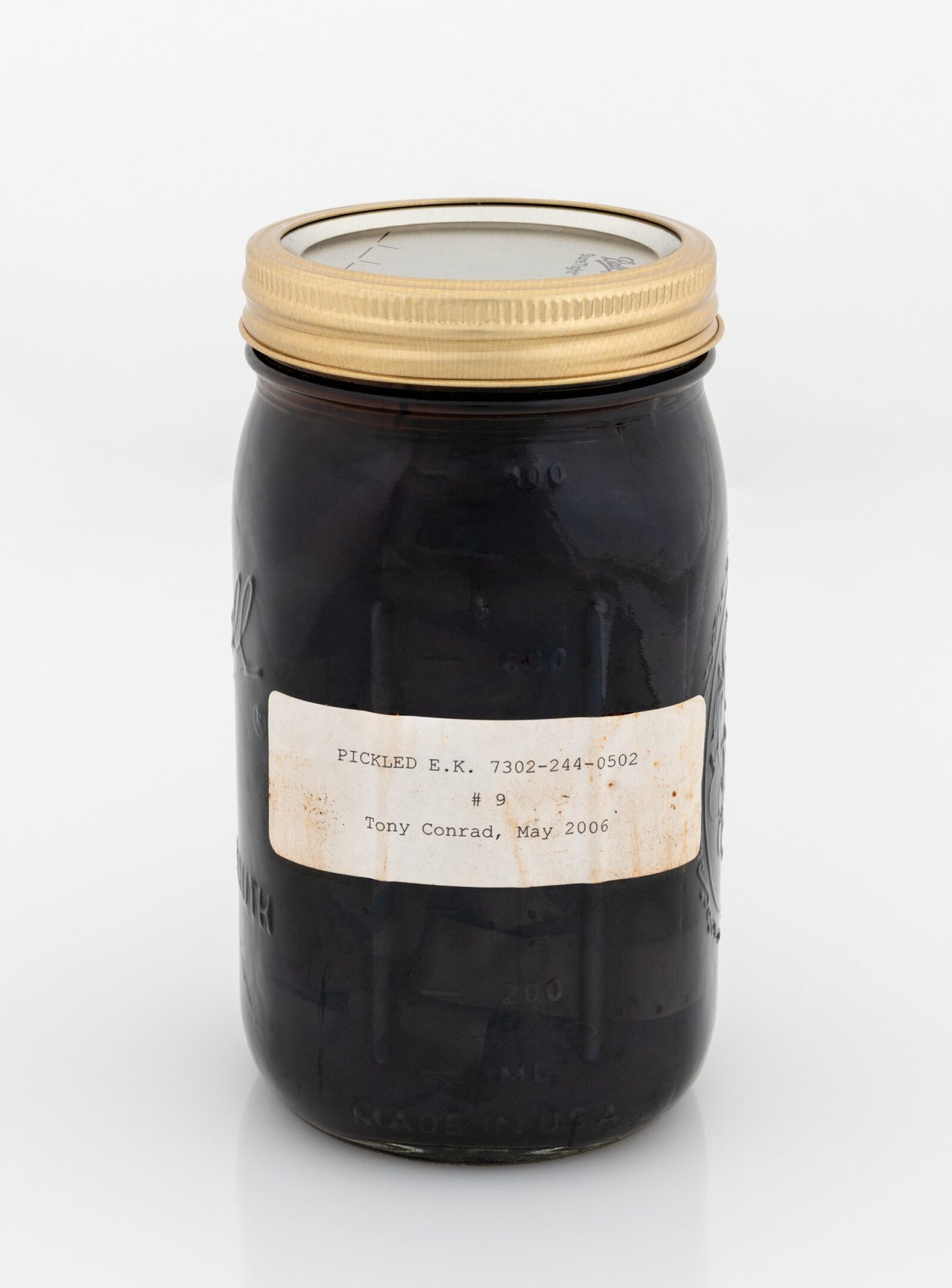 Pickled E.K. 7302-244-0502 #9, May 2006 by Tony Conrad