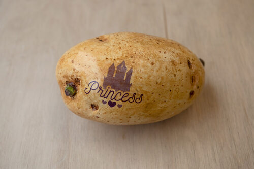 View featured artwork Po-tattoo, No. 5 by Anaïs Comer