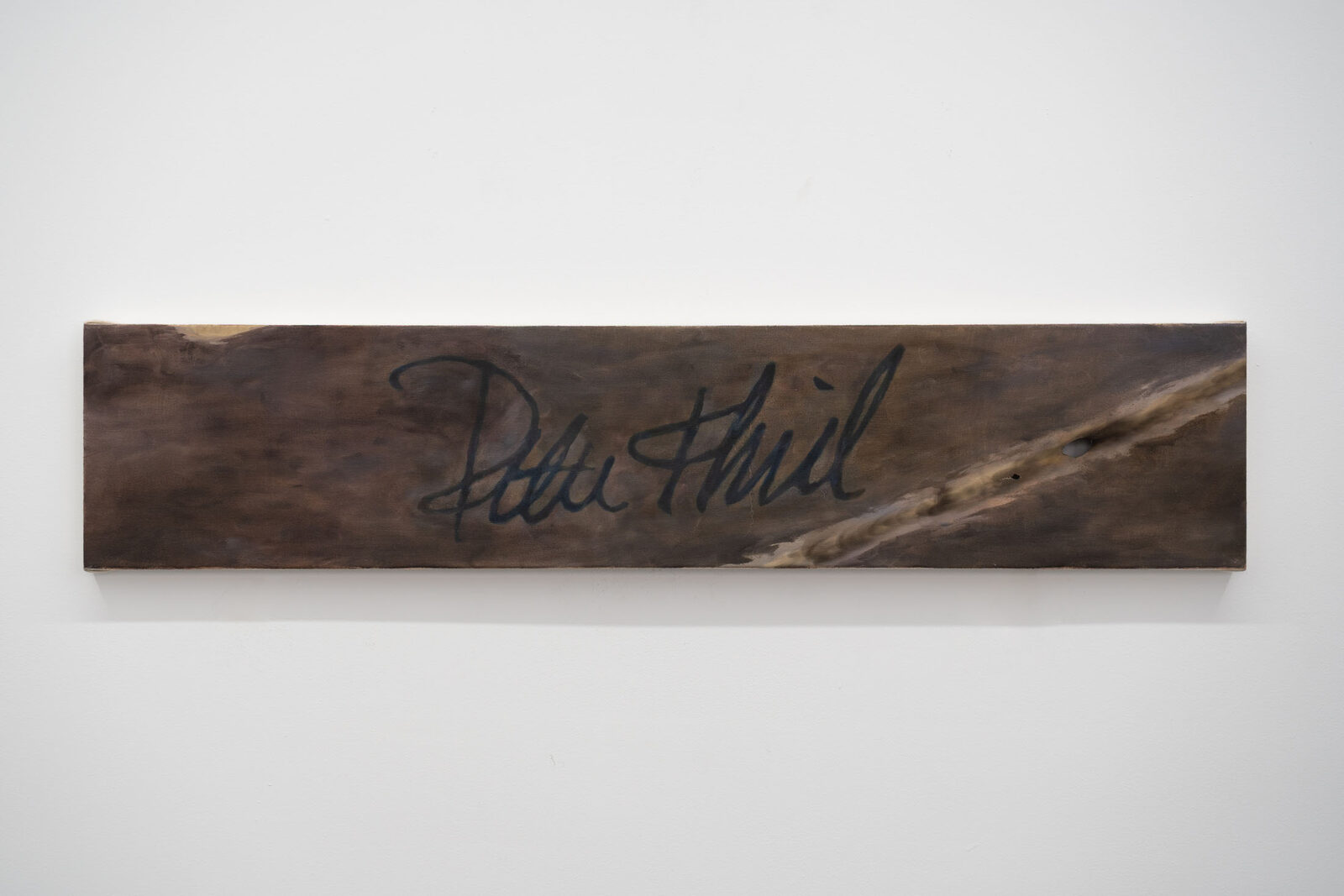 Peter Thiel’s Signature by Danny Bredar