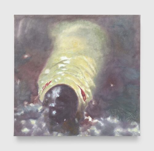 View featured artwork The Maggot by Luc Tuymans