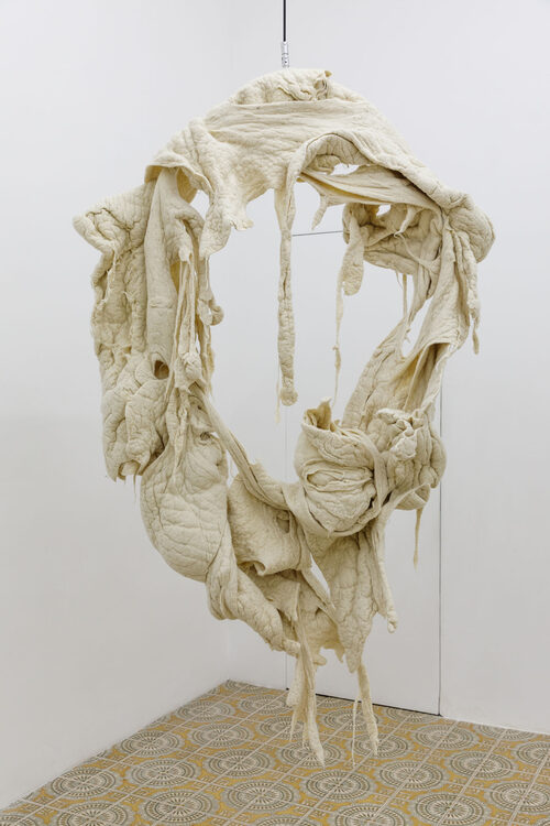 View featured artwork Inside-out #2 (textus conjunctivus) by Hella Gerlach