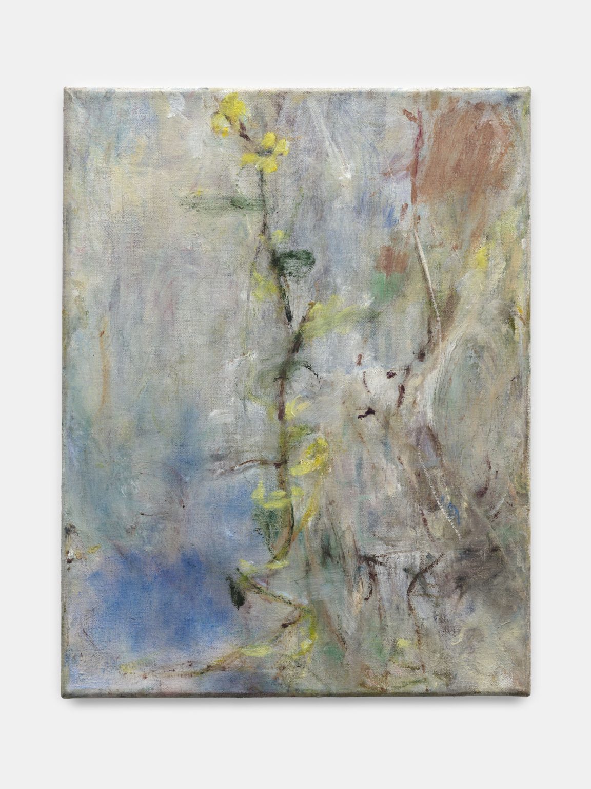 Image gallery Celandine by Willa Wasserman