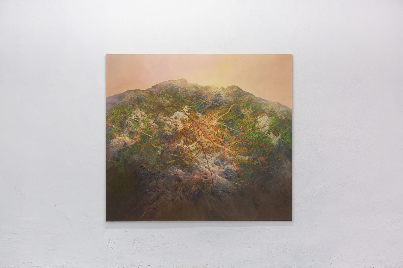 Untitled by Esteban Igartua – installation view