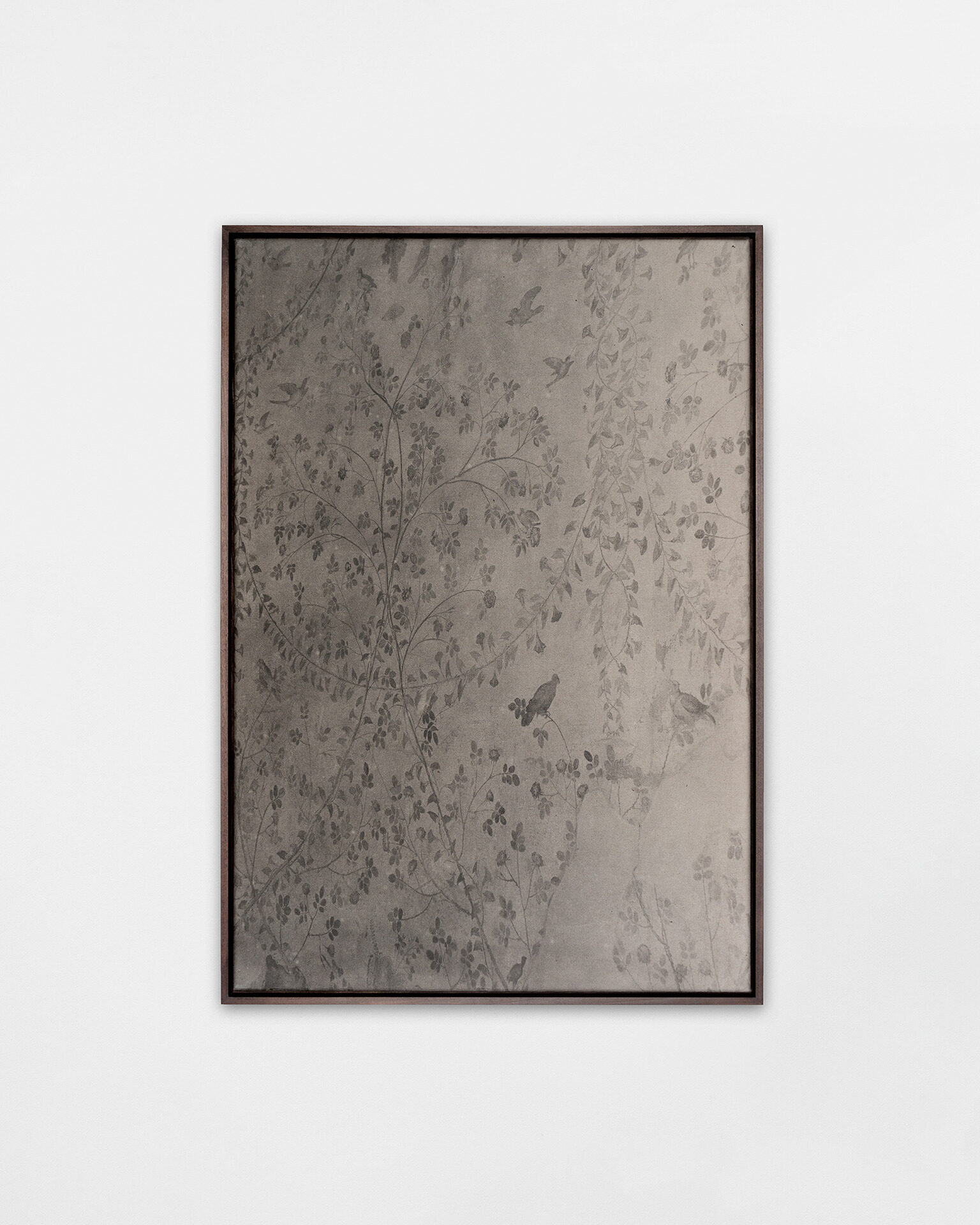 Image gallery 18-8-4 by Albert Grøndahl