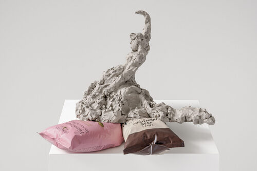 View featured artwork Fainter on posh crisps (Himalayan Salt, Berwick Longhorn Beef) by Nicole Wermers