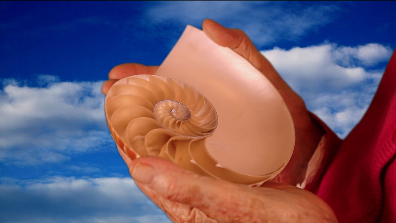 Image gallery Sacred Repository N.3: The Open Sky by Rory Pilgrim