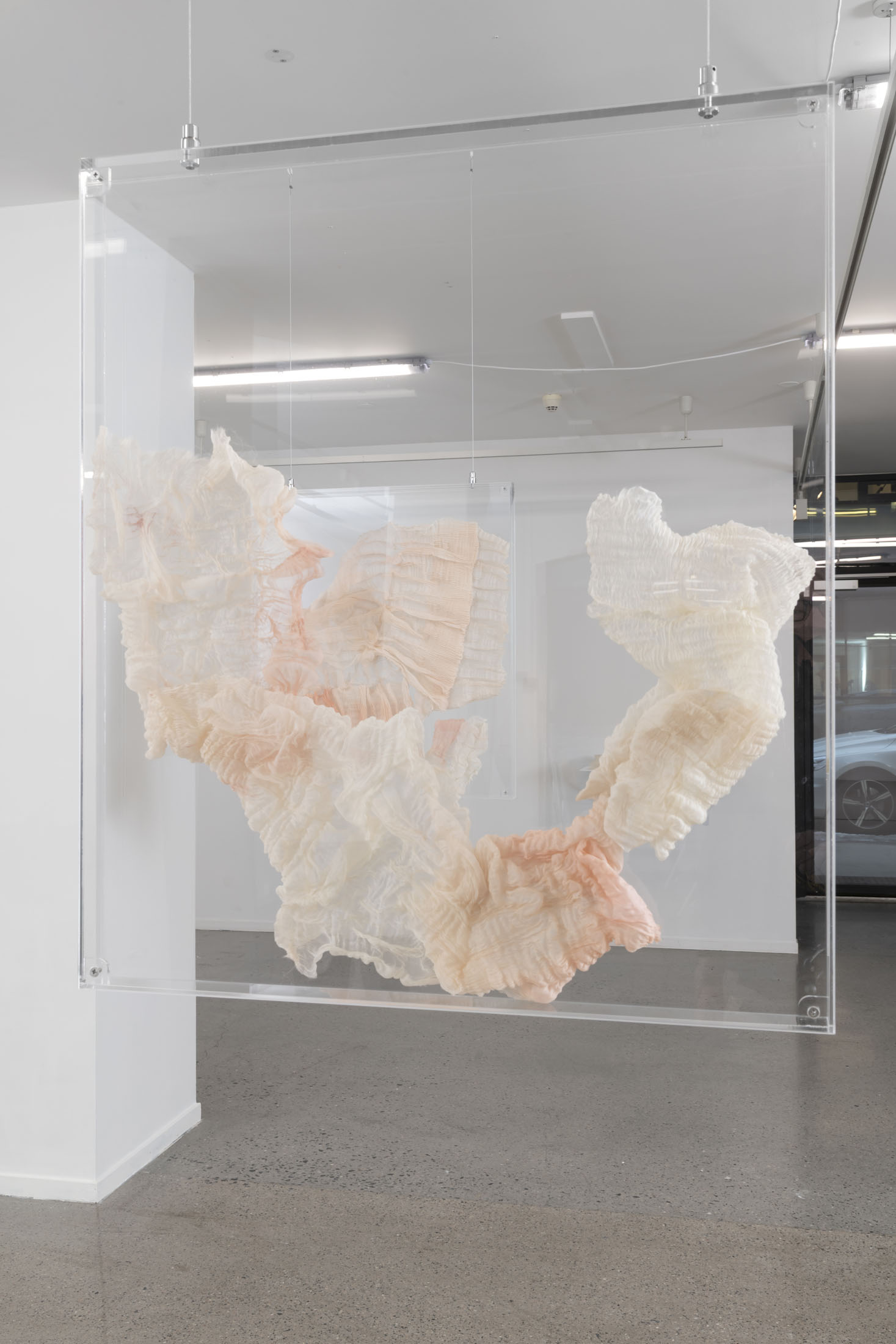 In vitro II by Sarah Vajira Lindström – installation view