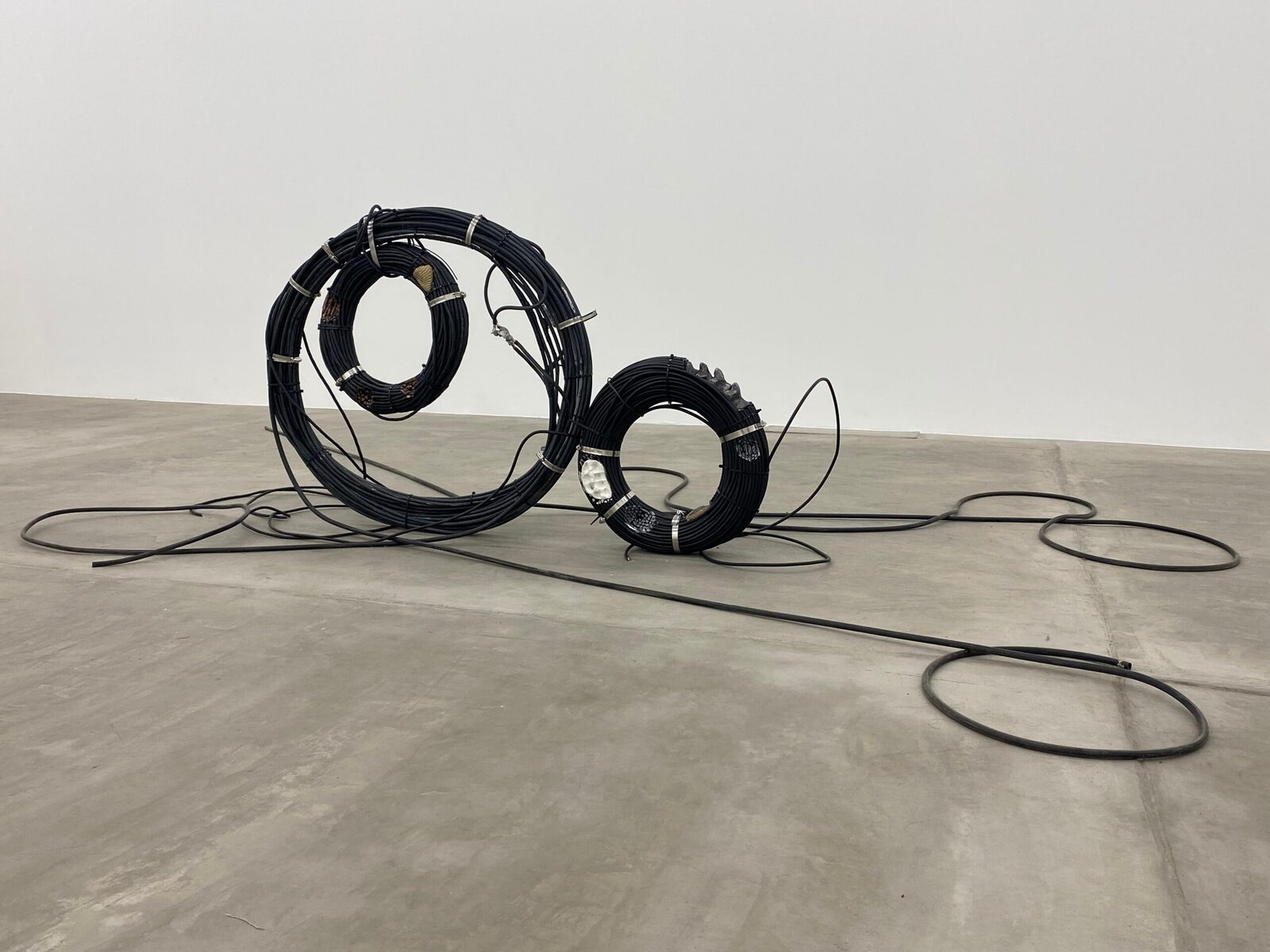 Image gallery Fossil visions by Rodrigo Red Sandoval