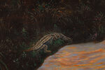 Gulzar (Garden) I by Hasan Ali Kadiwala