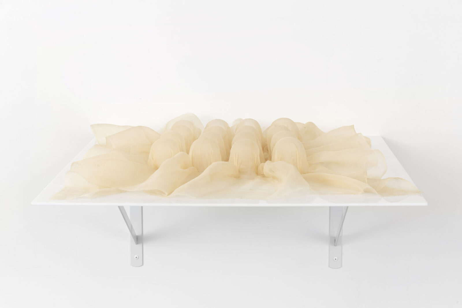 Salve (Gentiana purpurea) by Sarah Vajira Lindström – installation view