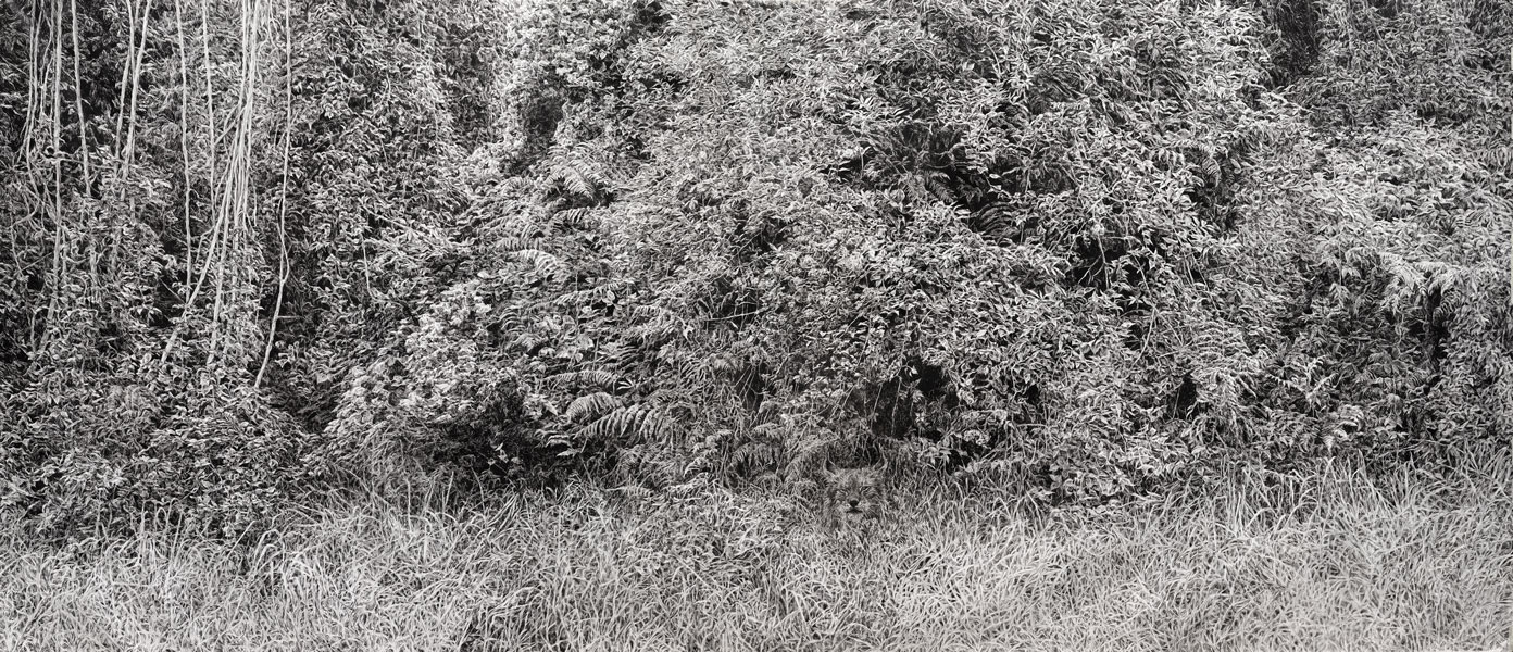 Image gallery Private territory by Lenka Falušiová