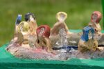 Salmacis fountain for the birds – detail view