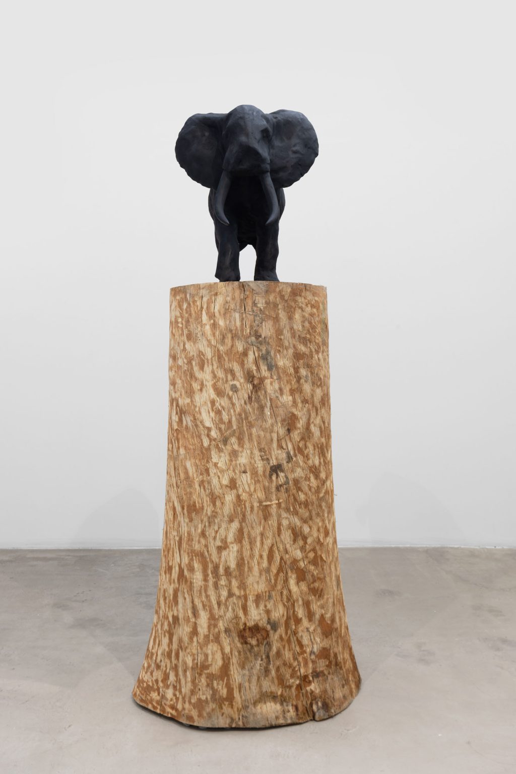 Elephant by Dong Jinling – installation view