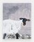 Untitled (white sheep) by Hugo Ruyant