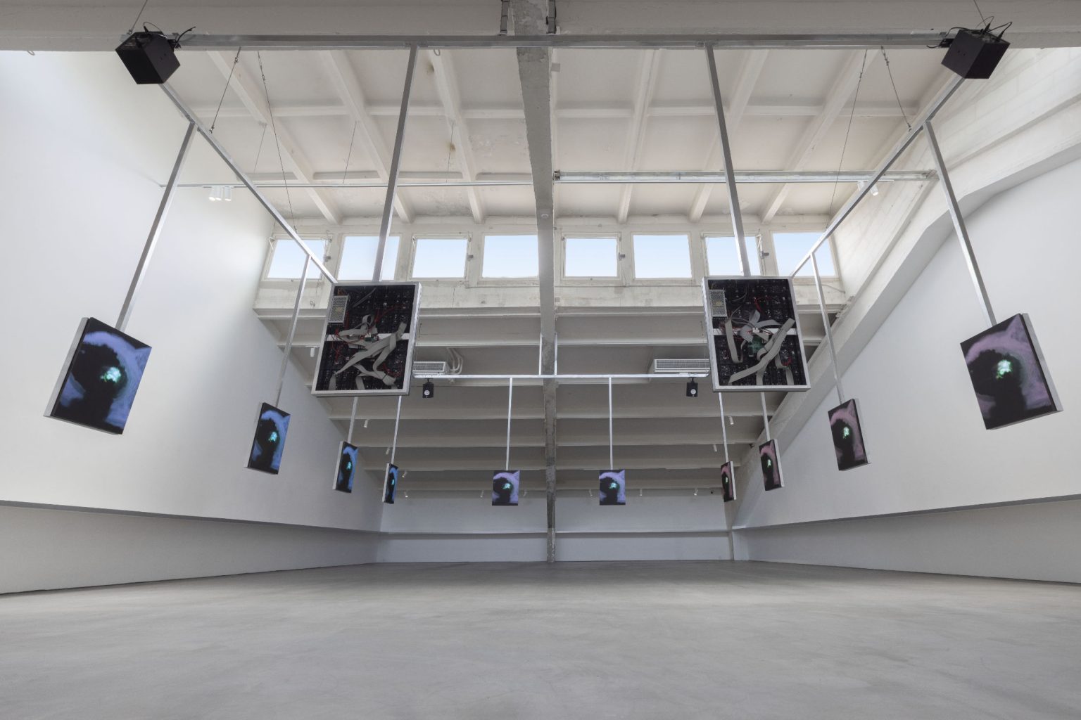 Image gallery Anal Intelligence by Payne Zhu – installation view