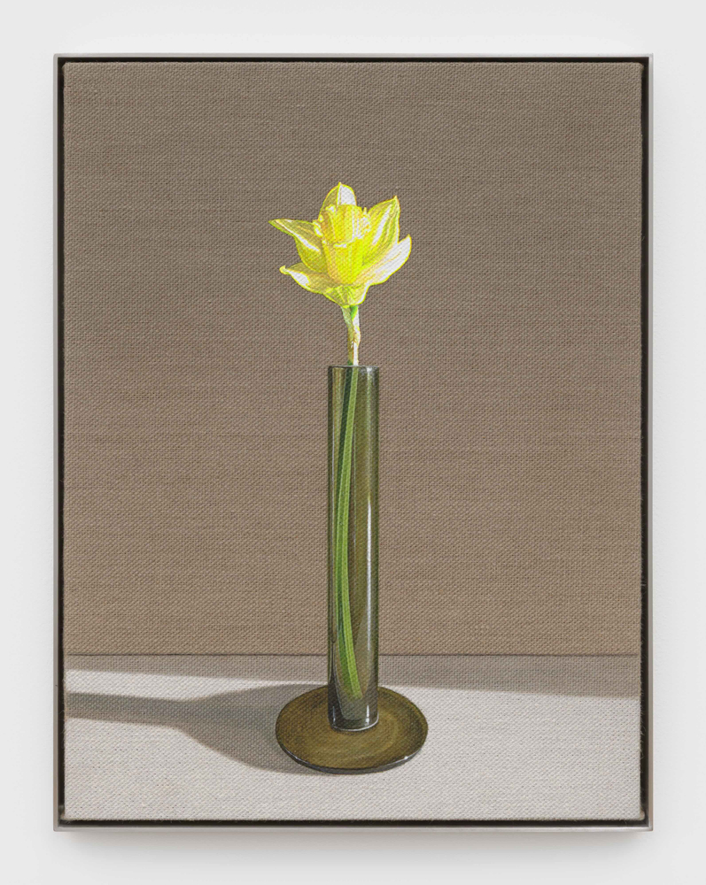 Image gallery Daffodil by Michael Wilkinson