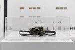 Nadelpanzer by Albrecht Becker – installation view