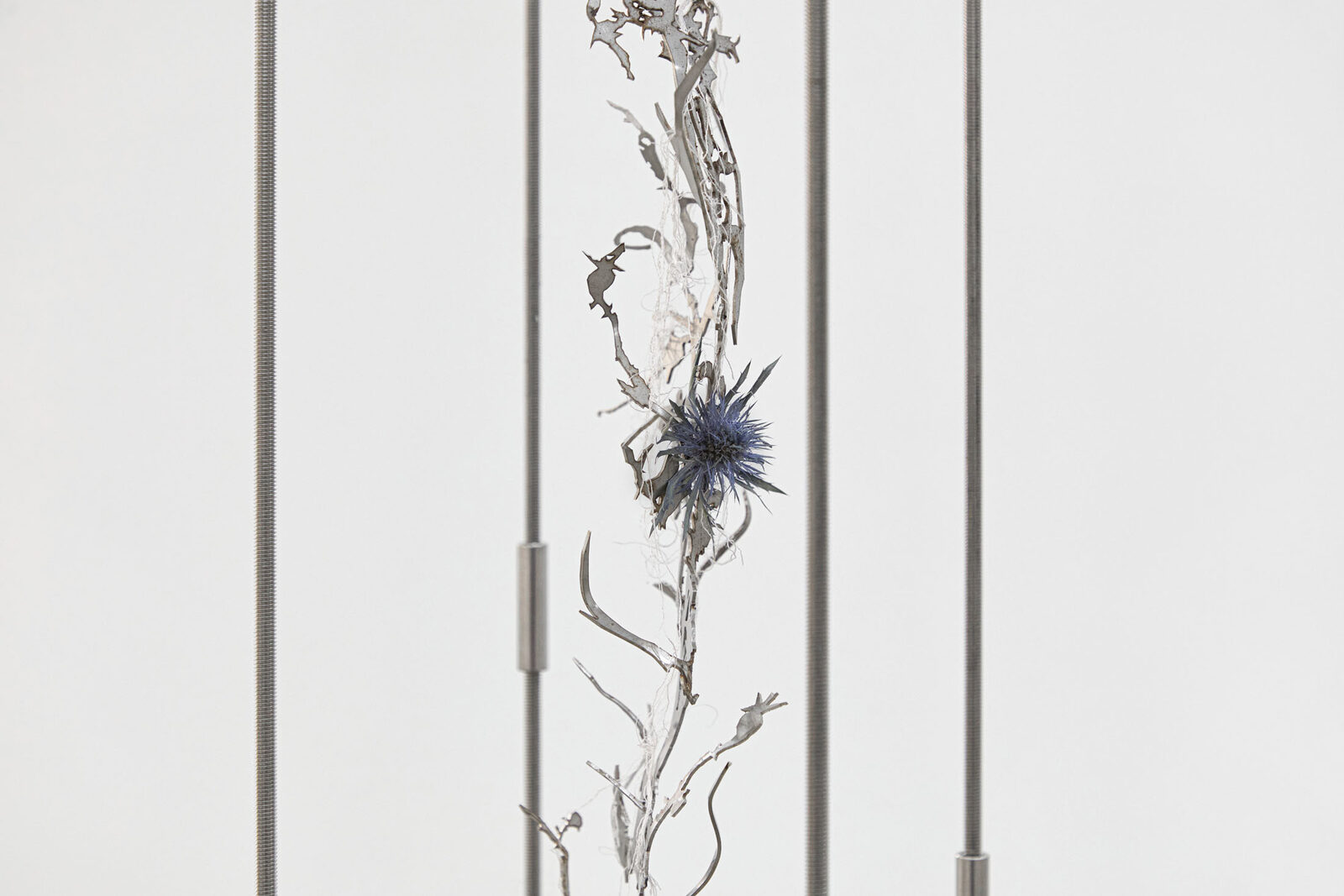 Image gallery Entwined IV – detail view