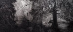 View artwork