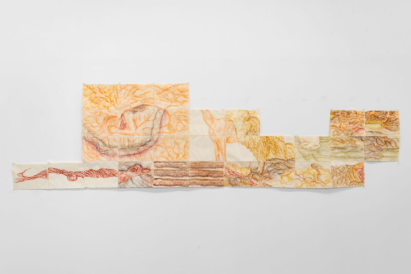 Featured artwork Map number 2: hair is like flesh by Alma Itzhaky