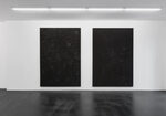 Love Call of Life & Song of Action by Jutta Koether – installation view