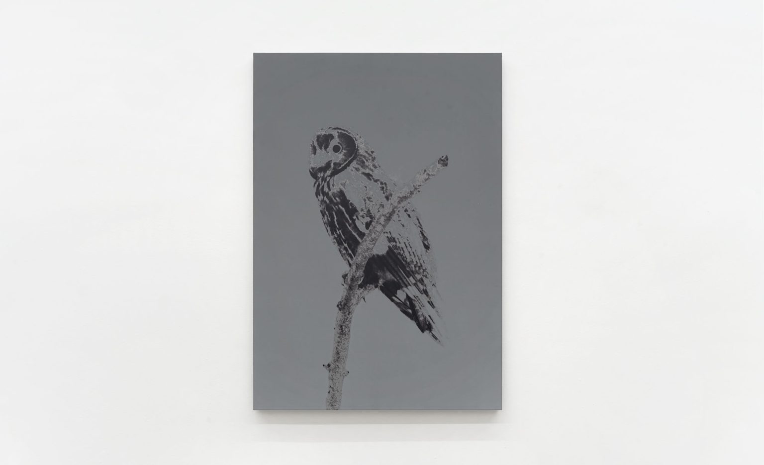 The dreamer slept but did not dream by Luca Campestri