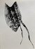 Selachii. A Morphology of Extinction in Eight Samples. by Imke Kreiser