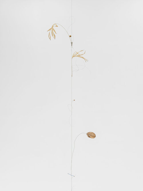 View featured artwork Essay F: Sorrow of Centaur by Kirill Savchenkov