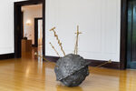 Primary Tumor by Ben Gould – installation view