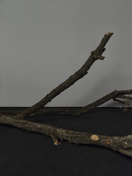 View featured artwork It remains where it falls, unless otherwise agreed upon with the municipality by Lenard Giller