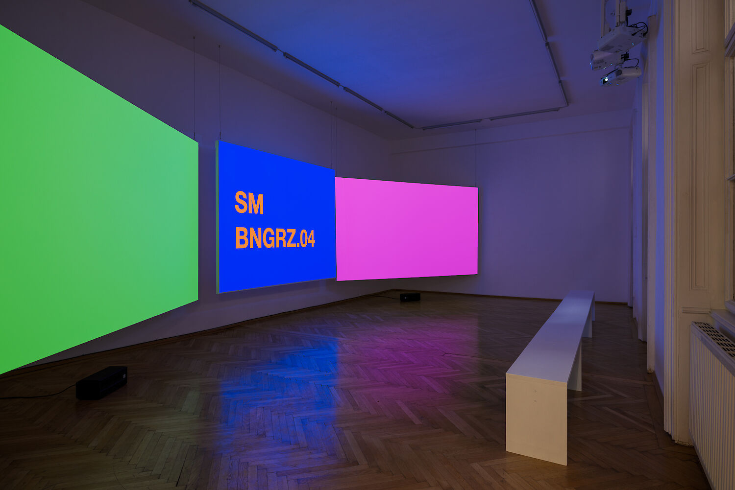 Image gallery SM BNGRZ.04–06 by Tony Cokes – installation view