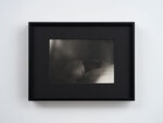 本命年 by Ann Zhao – detail view