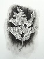 View artwork