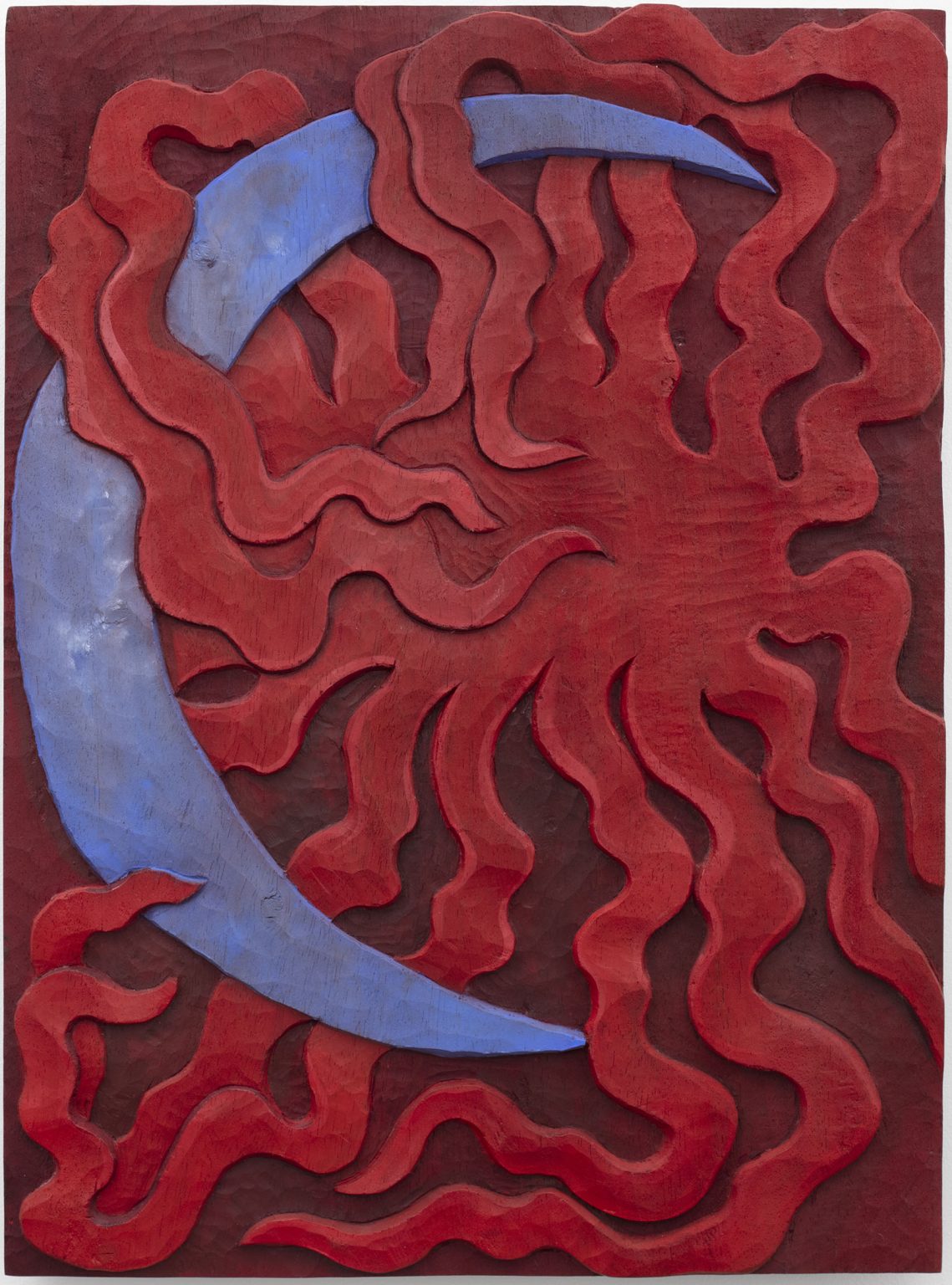 Image gallery Albor by Alejandra Venegas