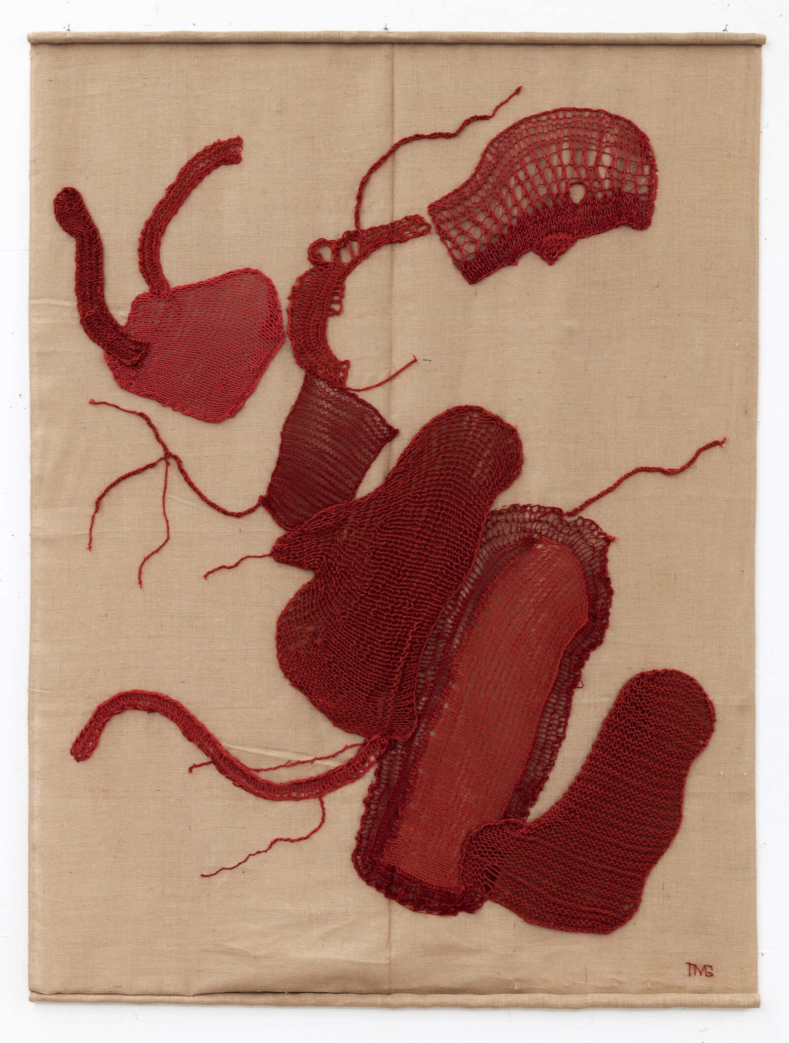 Image gallery Anemia by Tore Magne Gundersen