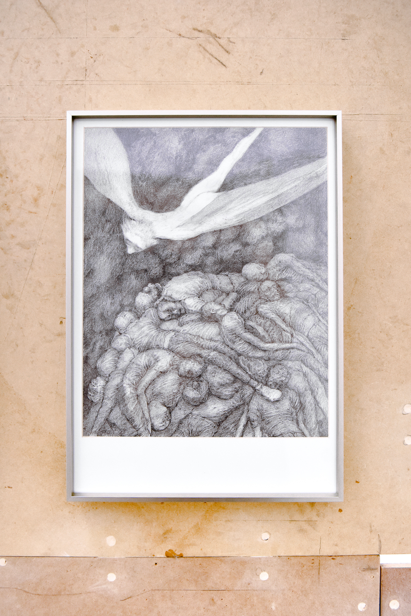 Image gallery Ave by Apolo Cacho