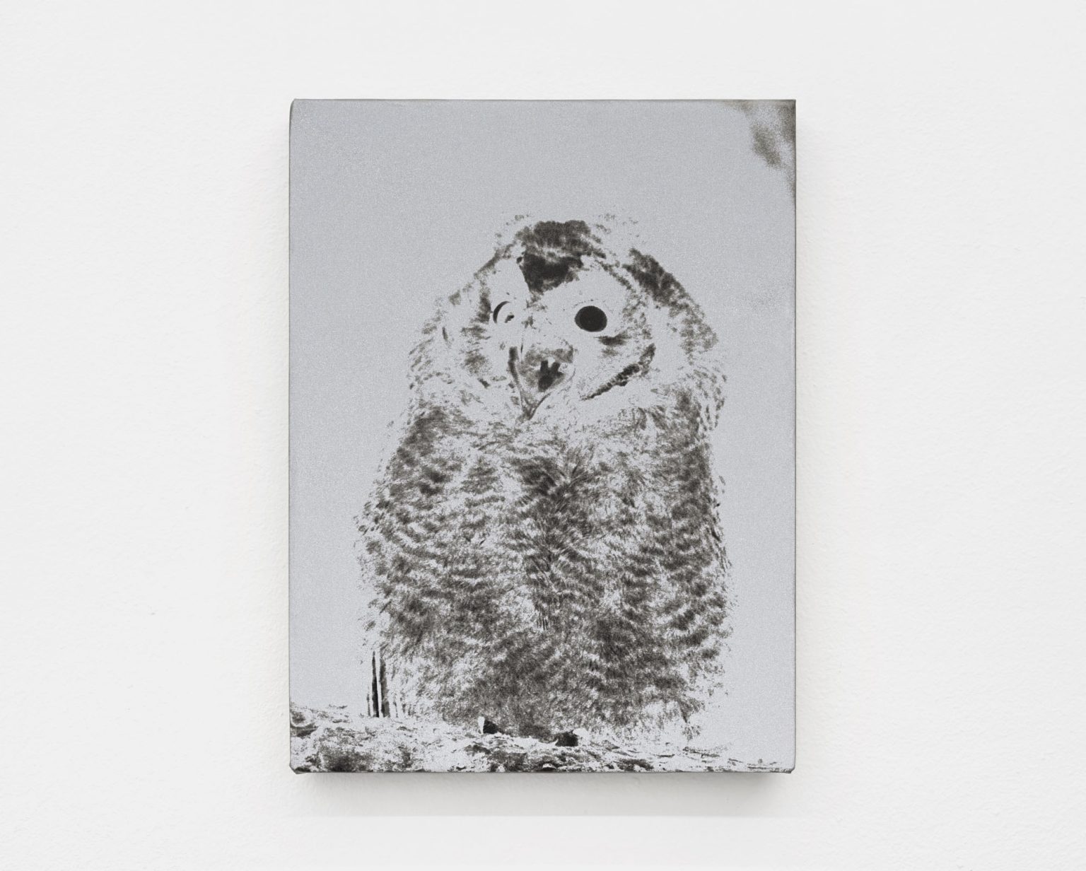 Image gallery The dreamer slept but did not dream by Luca Campestri