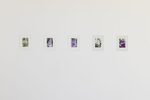 \d by Michala Paludan – installation view