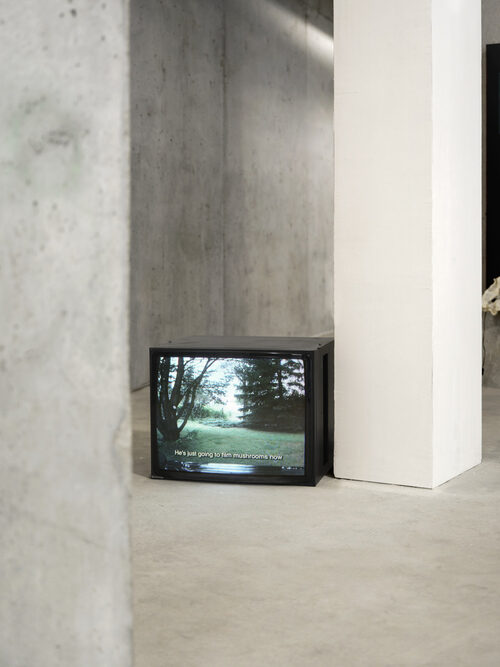 View featured artwork Blow out the candles one more time by Linda Lach