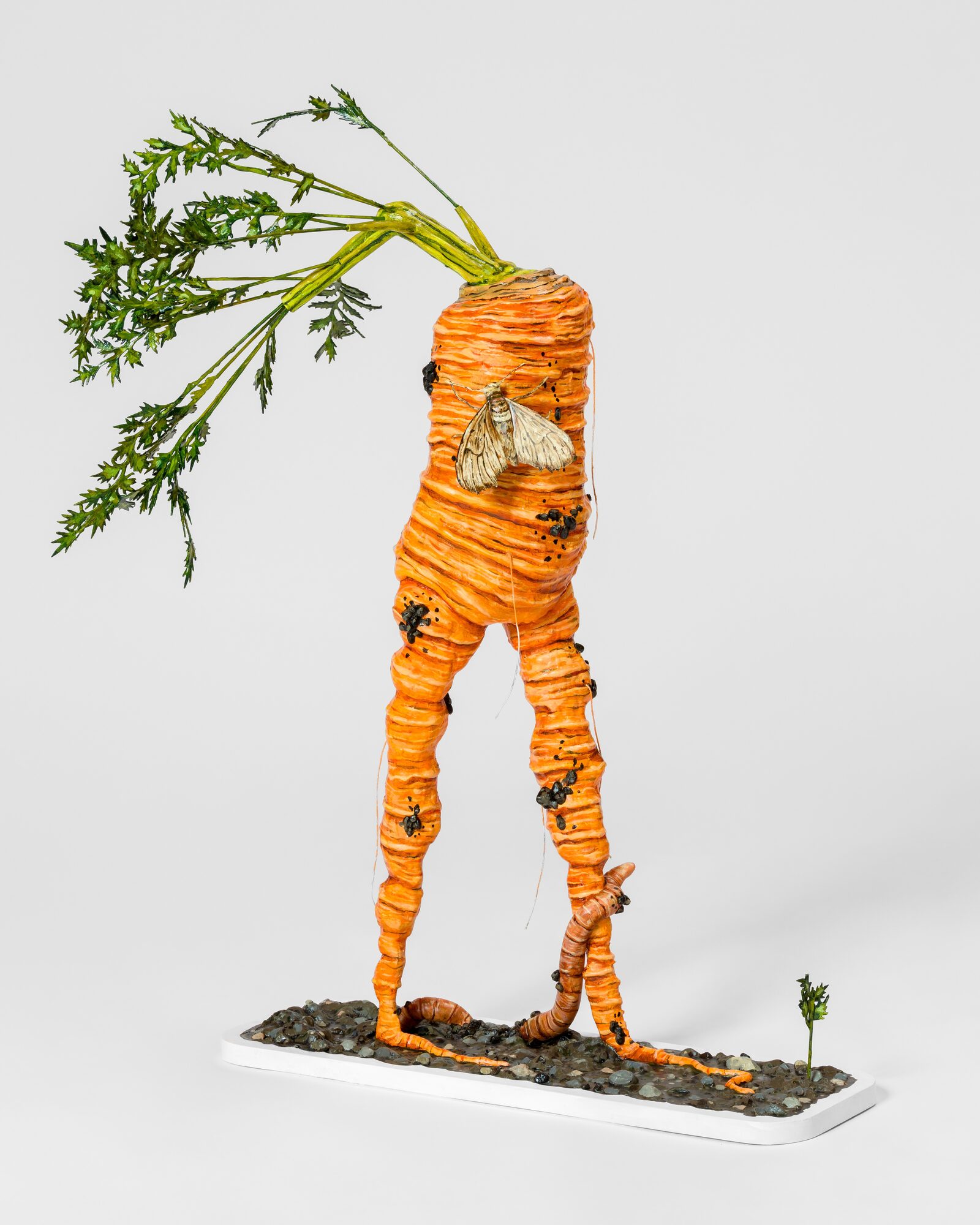 Flourishing by Jude Griebel
