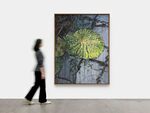 Swimming Pool by Guan Xiao – installation view