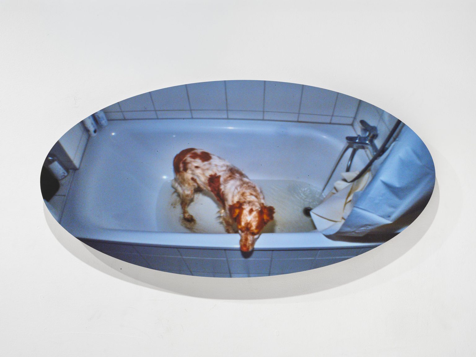 Untitled (Enzo Badewanne) by Paul Levack – installation view
