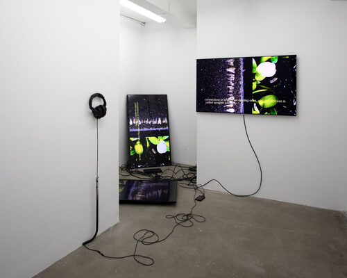 View featured artwork Network Branch by Timothy Yanick Hunter