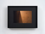 本命年 by Ann Zhao – detail view