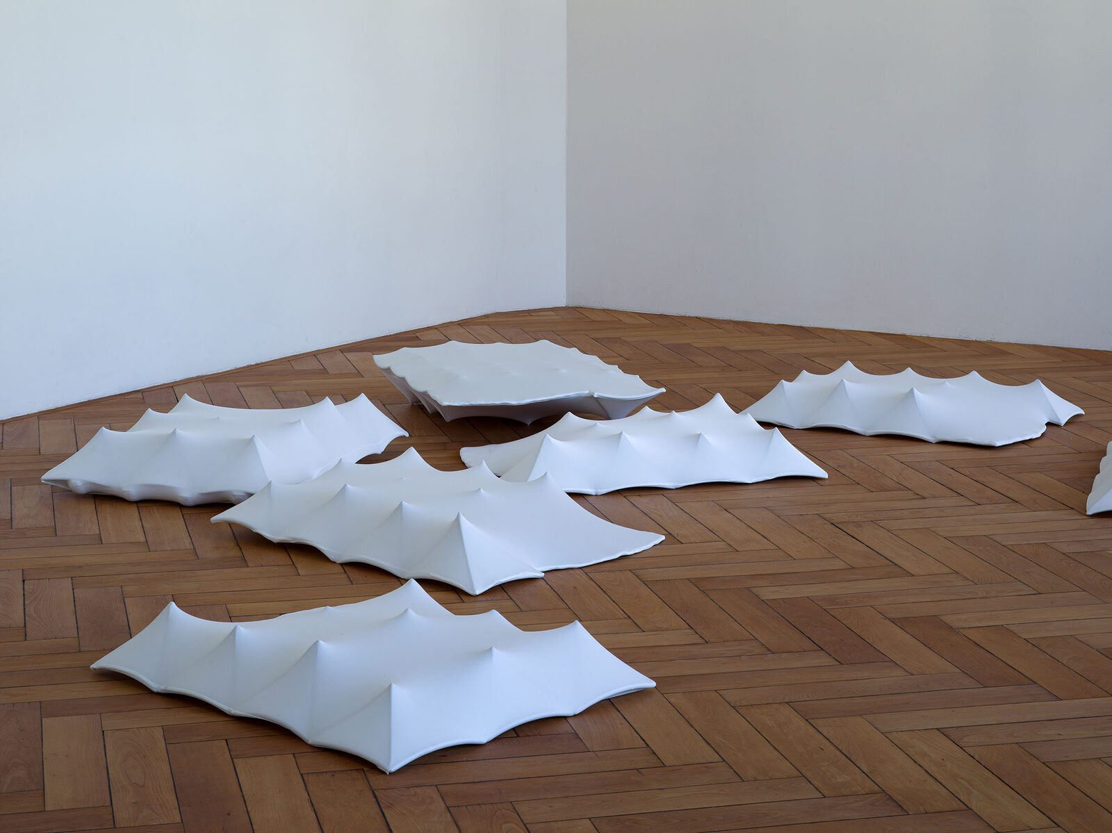 Tom by Nancy Lupo – installation view