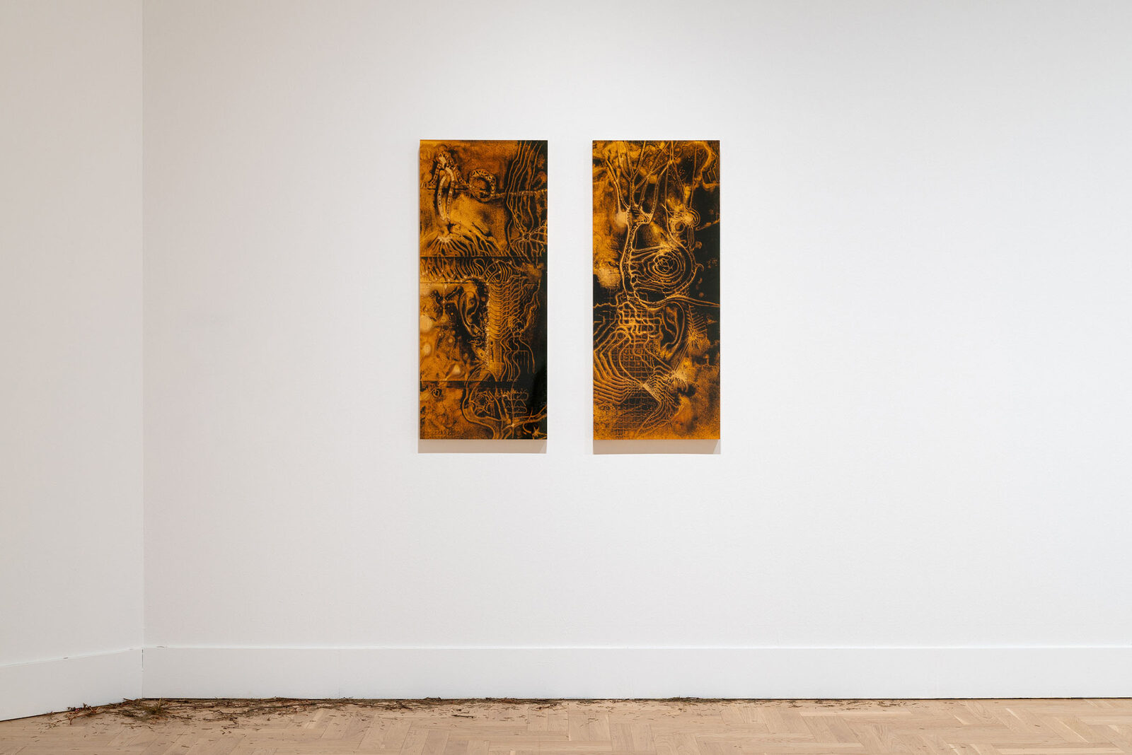 Image gallery Sunlit Cortex by Jura Shust – installation view