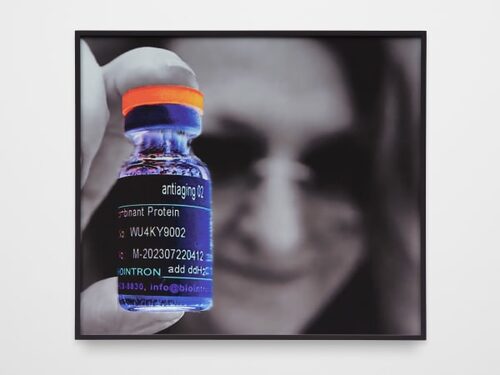 View featured artwork Self Portrait by Lynn Hershman Leeson